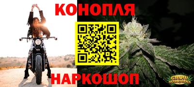 круглые Аргун