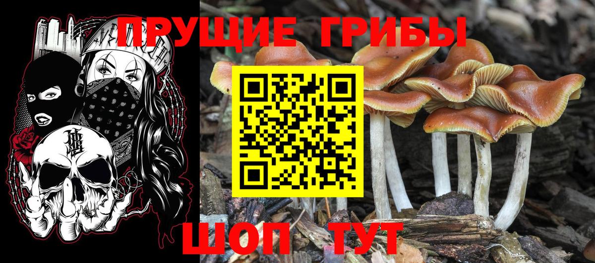 Псилоцибиновые грибы MAGIC MUSHROOMS Назарово