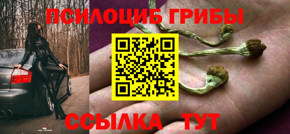 Псилоцибиновые грибы Magic Shrooms  Вход с VPN  Псилоцибиновые грибы Psilocybe  Назарово 